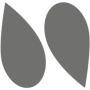 Logo NOVELLINI